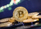 Bitcoin After the Halving: Why Institutions Are Accumulating While Retail Hesitates