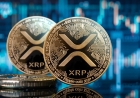 XRP: The Fast, Low-Cost Bridge Between Crypto and Banks