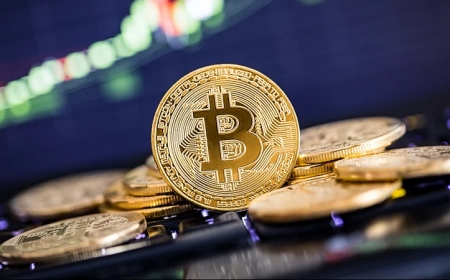 Bitcoin After the Halving: Why Institutions Are Accumulating While Retail Hesitates