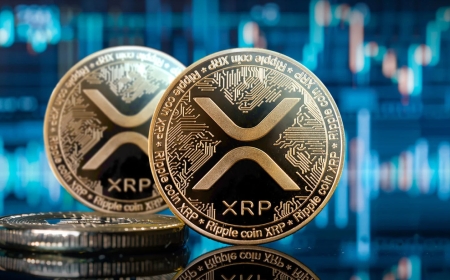 XRP: The Fast, Low-Cost Bridge Between Crypto and Banks